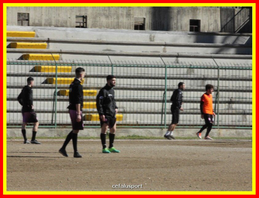 190310 Cephal_Torrenov 009_tn.jpg